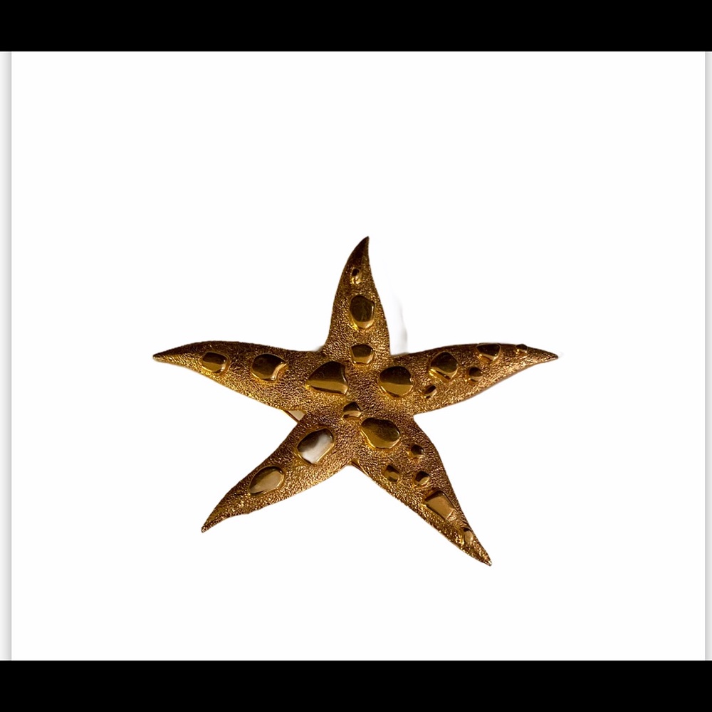 Retro Vintage Gold Star Fish Brooch